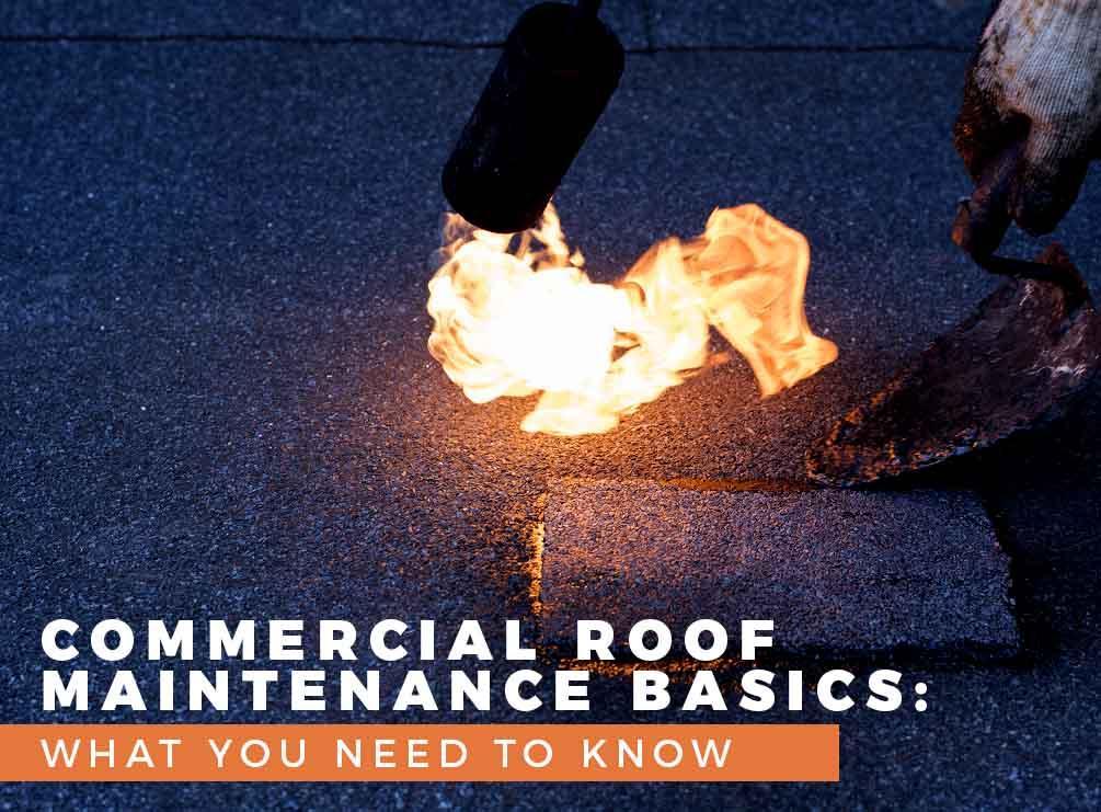 Commercial Roof Maintenance Basics: What You Need To Know