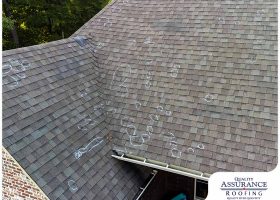 Common Signs of Roof Damage That Are Easy to Miss