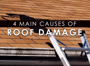 4 Main Causes Of Roof Damage